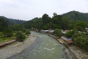 bukit lawang tempat bulan madu romantis dan murah 